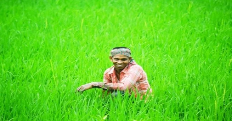 দেশে সার নিয়ে মাঠপর্যায়ে অস্থিরতা, পর্যাপ্ত মজুদের দাবি সরকারের